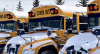 School busses and snow